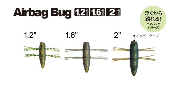 001_airbag_bug_1