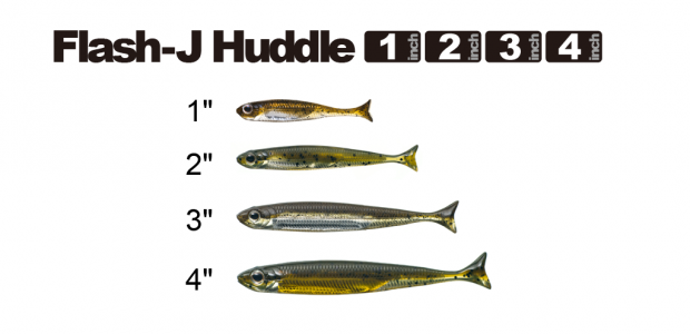 007_Flash_j_Huddle_1