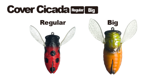 010_covercicada_2