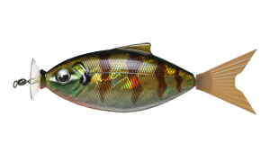 モーターシャッドのゼンマイ交換方法を解説 Fish Arrow モーターシャッドのゼンマイ交換方法を解説 Fish Arrow
